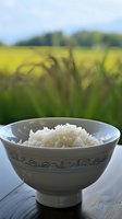 Steamed white rice in ceramic bowl with rice field background showcasing farm to table concept for healthy eating and agriculture themes.