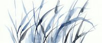 Watercolor painting of delicate blue and gray grass blades with flowing strokes, suitable for botanical artwork, nature backgrounds, and minimalist home decor projects.