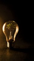 Glowing light bulb with small plant growing inside representing eco-friendly innovation, sustainable energy solutions and green technology concepts.