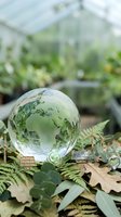 Glass globe with world map reflection surrounded by green leaves in greenhouse setting representing environmental conservation and sustainability.