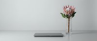 Minimalist workspace with closed laptop and pink protea flower in glass vase on white desk against neutral background for modern office design.