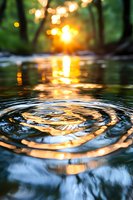 Mesmerizing water ripples reflecting golden sunset through forest trees, creating concentric circles on dark water surface with bokeh light effects and natural glow.