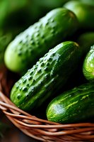Fresh green cucumbers with water drops in woven basket, macro shot showing textured skin and natural shine. Organic produce for healthy eating.