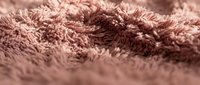 Soft pink fluffy carpet texture with long pile fibers creating cozy home interior surface for comfort and warmth in living spaces.