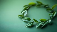 Fresh green bay leaves arranged in circle shape on blurred emerald background, natural organic cooking ingredient and aromatherapy concept.