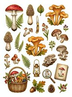 Vintage botanical illustration of various mushroom species, fungi types, and forest plants with ferns, leaves, and a wicker basket. Isolated clipart for design use.