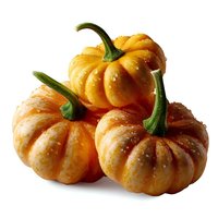 Fresh mini pumpkins with water drops on orange skin, isolated on white background for seasonal fall and harvest designs and decorative compositions.