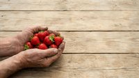 Mature male hands holding fresh red strawberries over wooden surface, harvest and farm produce concept for agriculture and healthy eating.