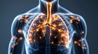 Glowing human lungs and respiratory system visualization in dark blue and orange colors showing detailed bronchi and alveoli structure in medical science concept.