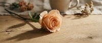 Soft peach rose lying on a rustic wooden table with a ceramic mug and dried flowers in a warm, cozy aesthetic flat lay.
