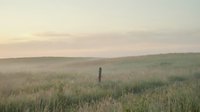 Misty morning landscape with vast grassland field and wooden fence post at dawn, suitable for nature backgrounds and rural scenery projects.