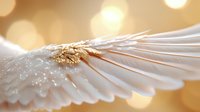Delicate white feather wing detail with golden bokeh light effect in background, macro photography showing intricate texture and natural patterns.