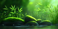 Zen garden with moss-covered stones, bamboo plants, and glowing bokeh light, evoking tranquility and harmony in a lush green nature setting.