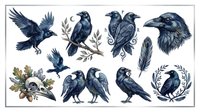 Raven and crow illustrations isolated on transparent background, ready for t-shirt design, clipart, stickers, sublimation and print-on-demand projects.