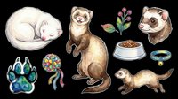 Cute ferret sticker set isolated on transparent background, featuring sleeping, standing, and walking ferrets with paw, toy, bowl, collar, and floral elements for clipart or print on demand.