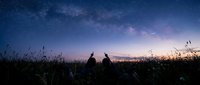Two silhouetted figures sit in tall grass under spectacular starry night sky with Milky Way galaxy visible at twilight for astronomy and nature themes.