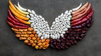 Colorful dried chili peppers and white beans arranged in wing shape on dark concrete background, creative food art composition for restaurant menu design.