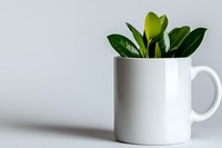 Green plant growing in white ceramic mug against light background, minimalist home decor composition showing sustainability and creative reuse concept.