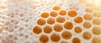 Macro shot of golden honeycomb texture with hexagonal cells filled with amber honey, bathed in warm sunlight for natural food and apiary concepts.
