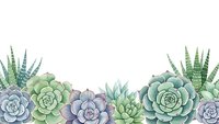 Watercolor succulent plants border frame with echeveria, haworthia and jade varieties on white background for botanical design projects.