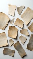 Aged torn paper fragments with burnt edges scattered on white background. Vintage texture pieces for scrapbooking, crafts and design projects.