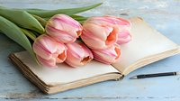 Fresh pink tulips lying on open vintage notebook with fountain pen on rustic blue wooden surface, romantic spring composition for writing or journaling.