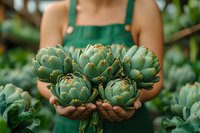 Fresh artichokes held by farmer in green apron at harvest time. Organic vegetable farming and sustainable agriculture concept for food production and gardening.