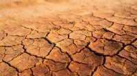 Cracked dry earth surface showing drought conditions with deep fissures in parched soil. Natural disaster and climate change environmental concept.