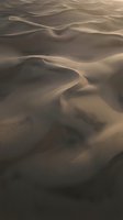 Endless sand dunes create mesmerizing patterns with soft golden light and shadows across vast desert landscape for travel and nature backgrounds.