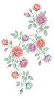 Watercolor roses in pink and purple tones with green leaves isolated on white background for wedding invitations, greeting cards and romantic designs.