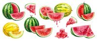 Fresh watermelon slices and whole fruits isolated on white background, perfect for summer designs, healthy eating concepts, and food illustrations.