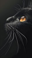 Close-up profile of black cat with striking amber eye and prominent whiskers against dark background, dramatic lighting highlights facial features and fur texture.