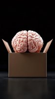 Human brain model emerging from brown cardboard box against black background, representing thinking outside box concept or creative intelligence breakthrough.