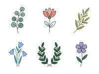 Botanical line art illustrations featuring eucalyptus, coral flower, olive branch, bluebell, laurel wreath and purple flower. Isolated clipart elements for design, invitations, and branding projects.