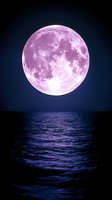Vibrant pink full moon rising over dark ocean waters, casting magical purple reflections on rippling waves against night sky background.