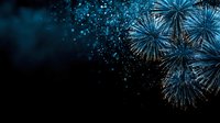 Spectacular blue fireworks bursting against dark night sky with glowing particles and sparks, creating festive atmosphere for celebration events.