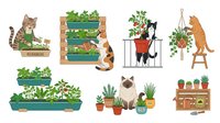 Cats tending to potted plants and vertical gardens, isolated on white background, ready for design use on merchandise and educational materials.