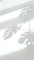 Soft natural light casting delicate leaf shadows on white wall, creating minimalist abstract background for design, branding, wellness and modern interior projects.