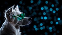 White dog wearing green glasses in profile view against dark background with blue bokeh lights creating magical atmosphere and modern pet portrait style.