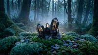 Dark mystical forest with glowing crystal formations emerging from mossy ground surrounded by ancient trees and ethereal mist for fantasy gaming concepts.