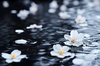 White flowers floating on dark water surface with ripples and bokeh effect, suitable for wellness, spa, and nature-themed designs.