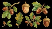Watercolor acorn and oak leaf clipart set isolated on transparent background, ready for fall stickers, t-shirt design, print on demand, and sublimation projects.