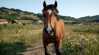 Brown horse with white blaze standing on dirt path through wildflower meadow against rolling green hills background in summer countryside setting.
