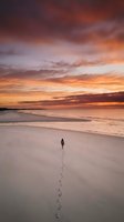 Solitary person walking on pristine beach at sunset with dramatic orange and purple sky reflecting on wet sand and gentle waves.