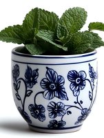 Fresh mint leaves in white ceramic cup decorated with blue floral pattern on white background, isolated. Suitable for culinary, gardening and home decor projects.