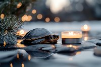 Small turtle near glowing candle and pine branch with bokeh lights creating magical atmosphere, reflection on dark surface in soft evening light.