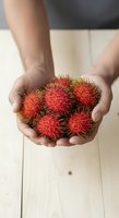 Male hands holding fresh rambutan fruits with spiky red skin and green leafy crowns over wooden surface. Suitable for food, agriculture, and healthy eating content.