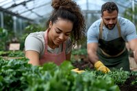 Mixed race woman and Hispanic man working together in greenhouse, tending to organic plants and vegetables while wearing aprons and gardening gloves. Sustainable agriculture.