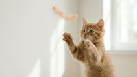 Playful ginger tabby kitten batting at a floating feather in a bright, airy room, capturing feline curiosity and energy in a natural home setting.