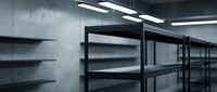 Empty metal shelving units in modern warehouse or storage facility with fluorescent lighting and concrete walls for industrial organization.
